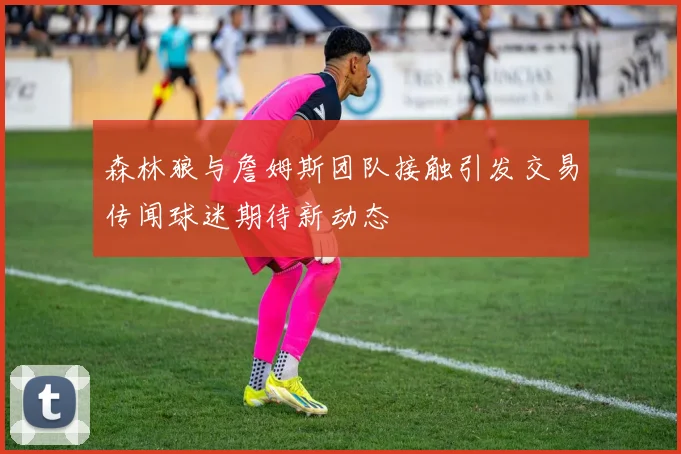 森林狼与詹姆斯团队接触引发交易传闻球迷期待新动态